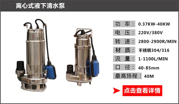 離心式液下清水泵